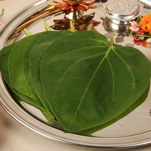 Betel Leaves