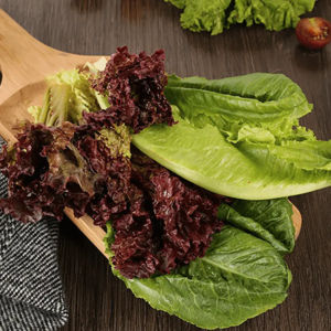 Lettuce Mix